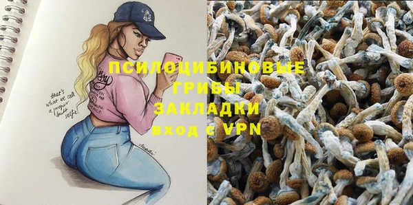 соль курить ск Алексин