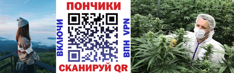 купить наркотик  Пенза  Конопля индика 